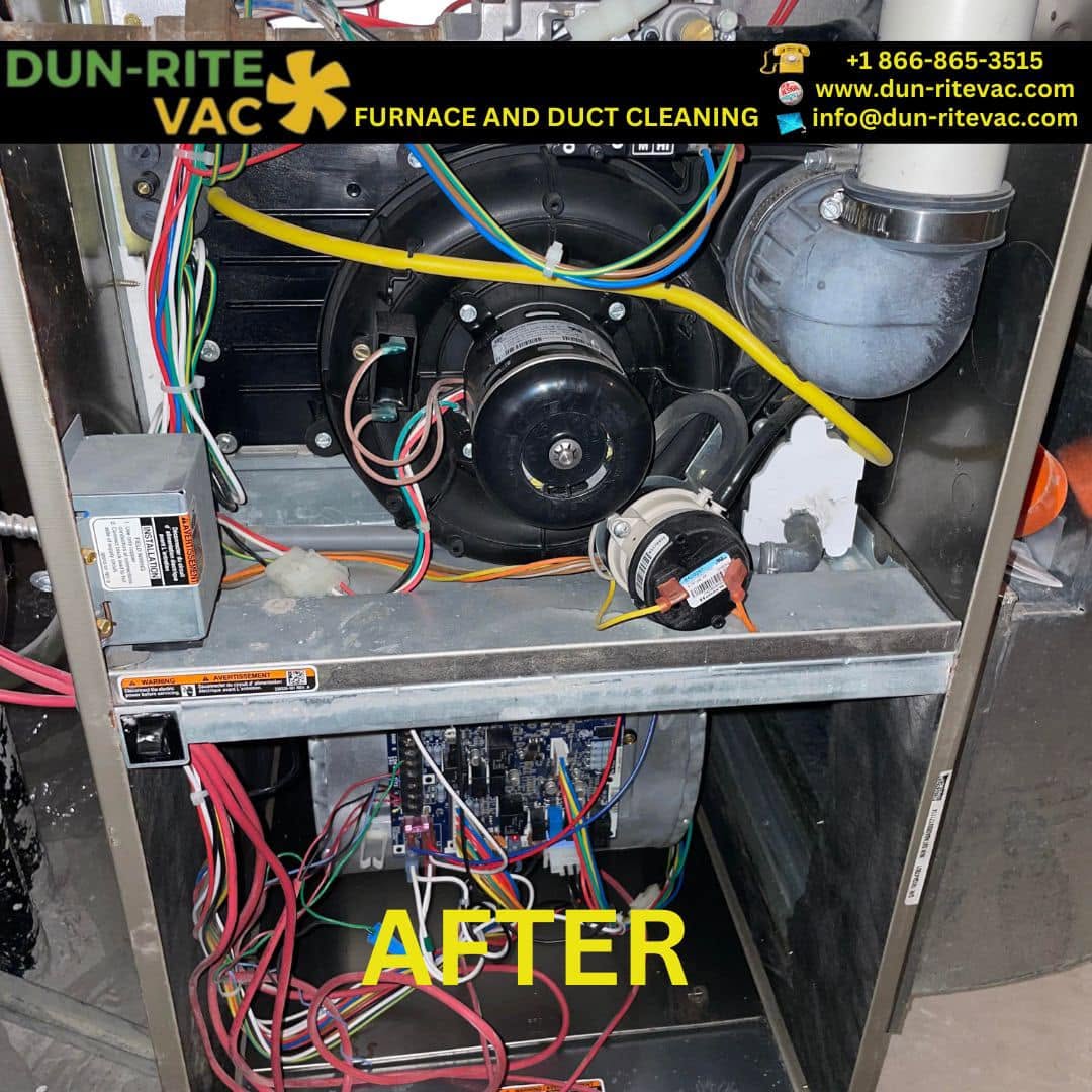 Clean furnace cabinet interior after professional furnace cleaning showing blower compartment and internal components.