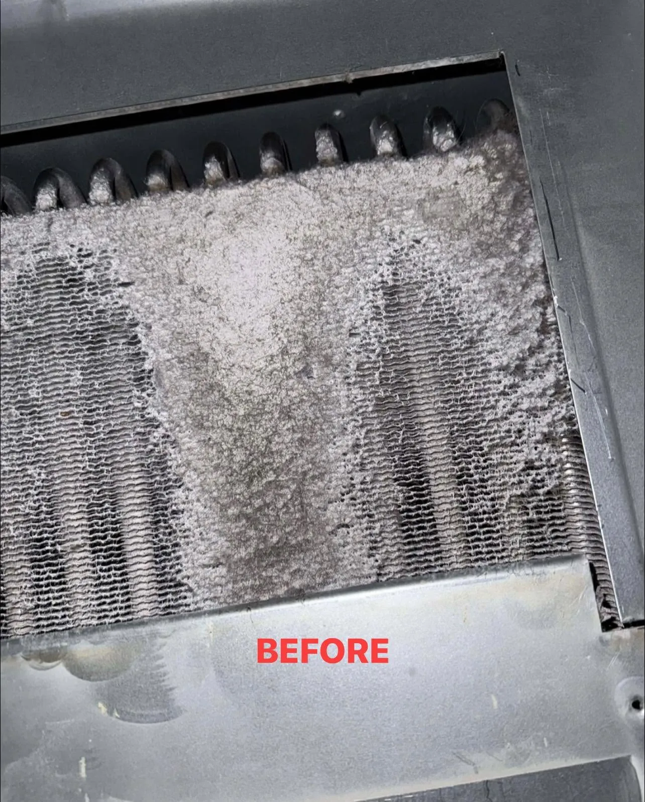 Dirty evaporator coil coated in dust and debris before professional cleaning