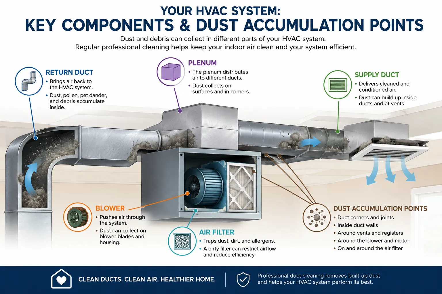 Diagram of a commercial HVAC system showing the return duct, supply duct, blower, plenum, air filter, and common dust accumulation points