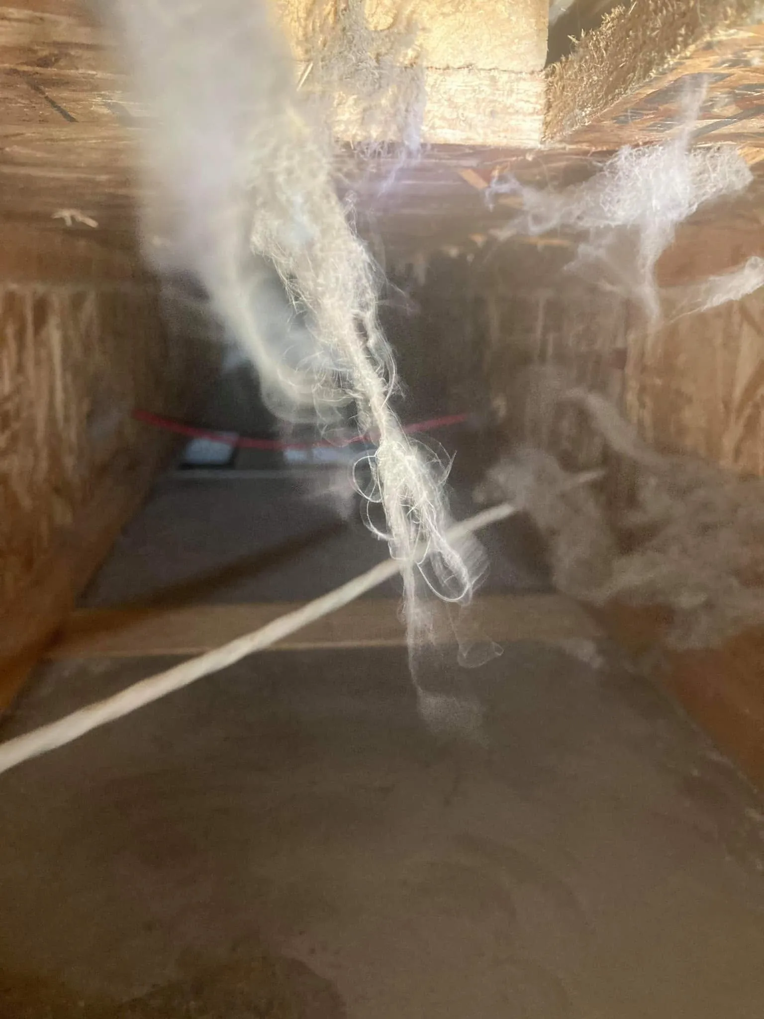 Interior of residential HVAC ductwork inspected during air duct cleaning for mold concerns